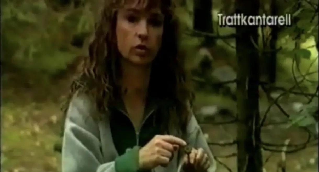 Christina's Mushroom School
