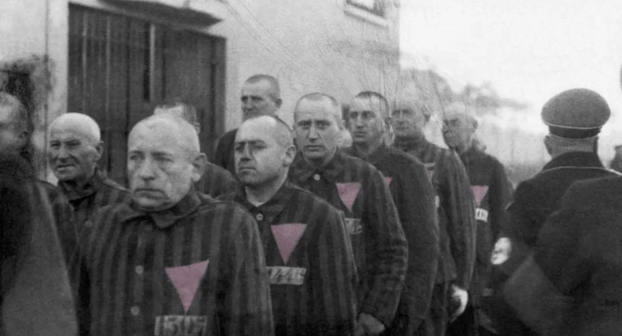 The Pink Triangle and the Nazi Cure for Homosexuality