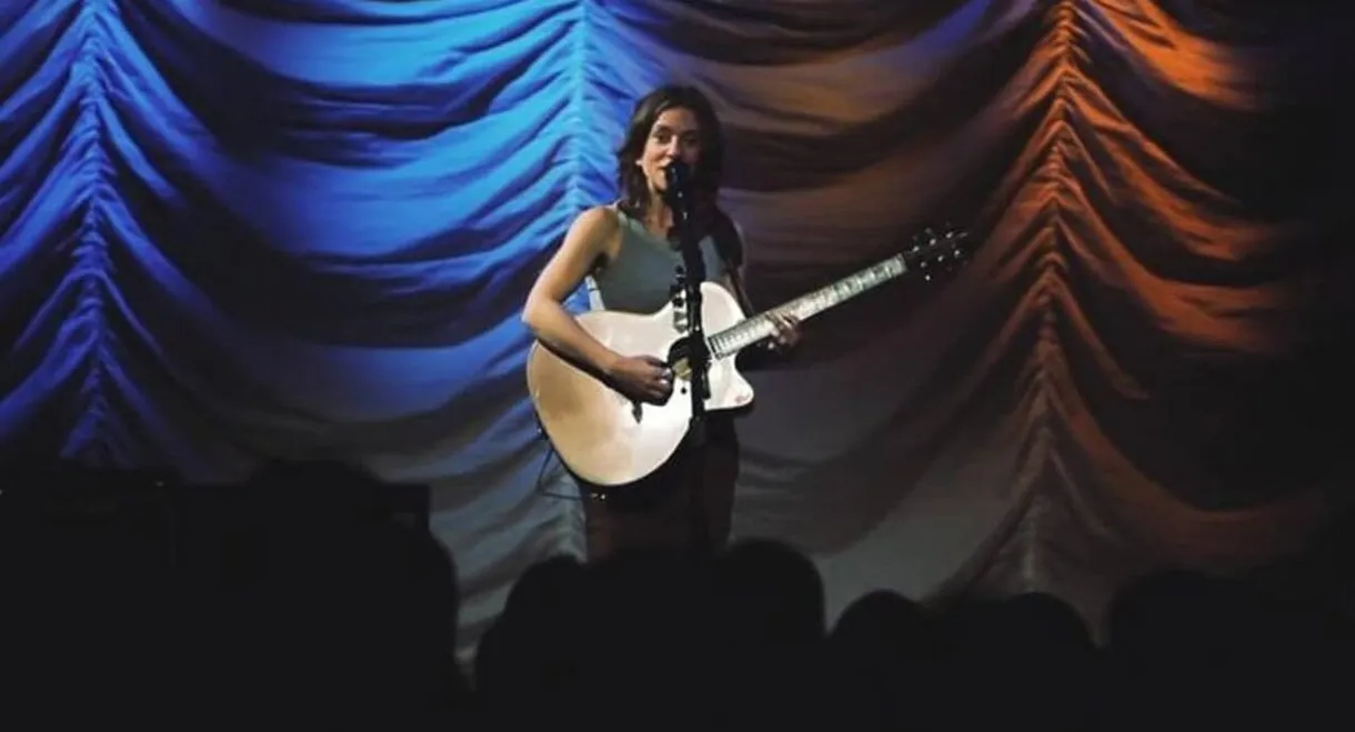Ani DiFranco - Live In New York City