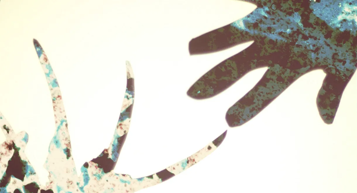 Monstrous Me
