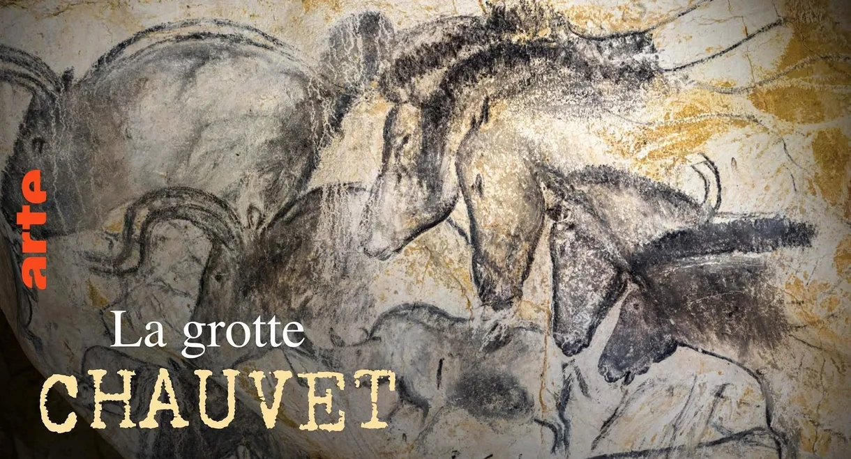 Grotte Chauvet - Dans les pas des artistes de la Préhistoire