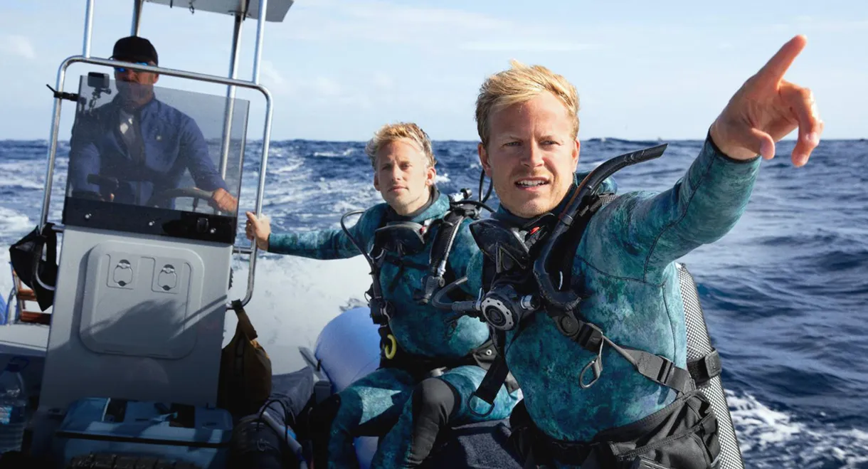 Dolphins Up Close with Bertie Gregory