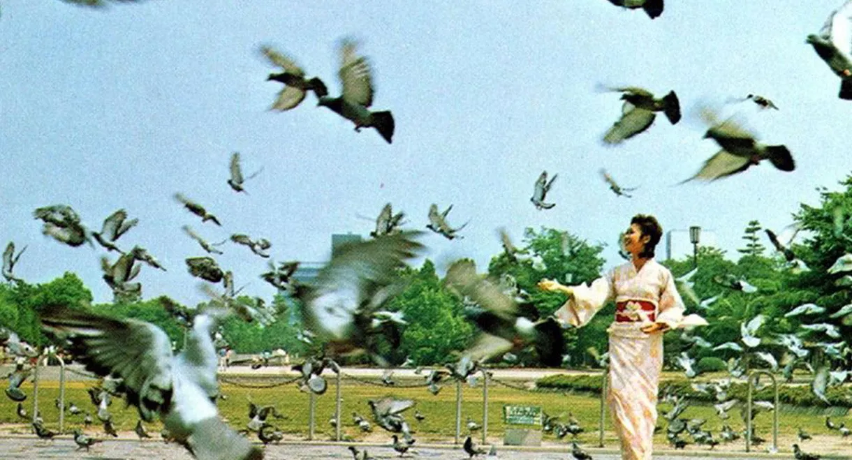 Hiroshima 28