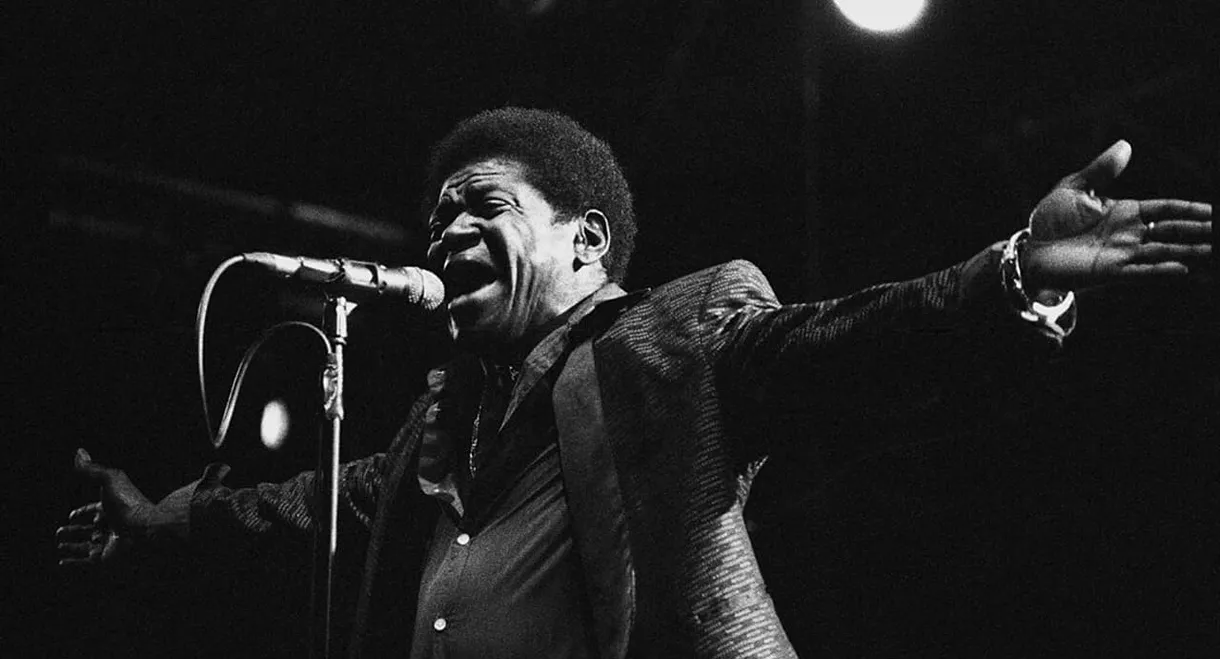 Charles Bradley : Musiques en Stock 2016