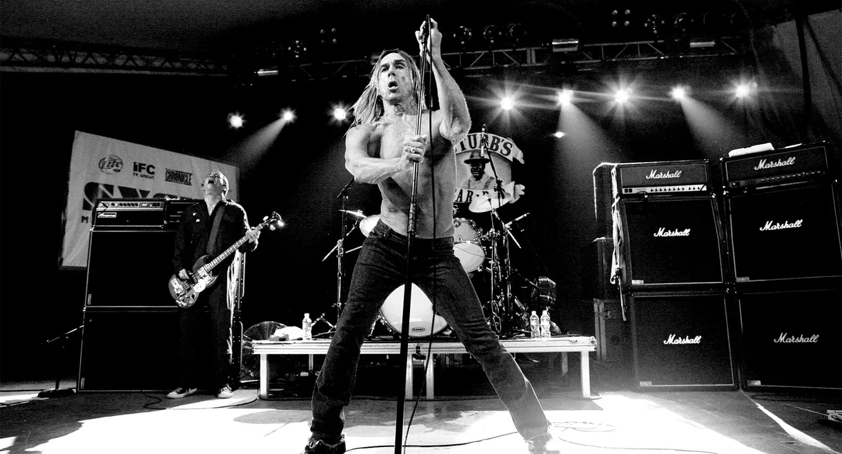 Iggy & the Stooges: Live in Detroit