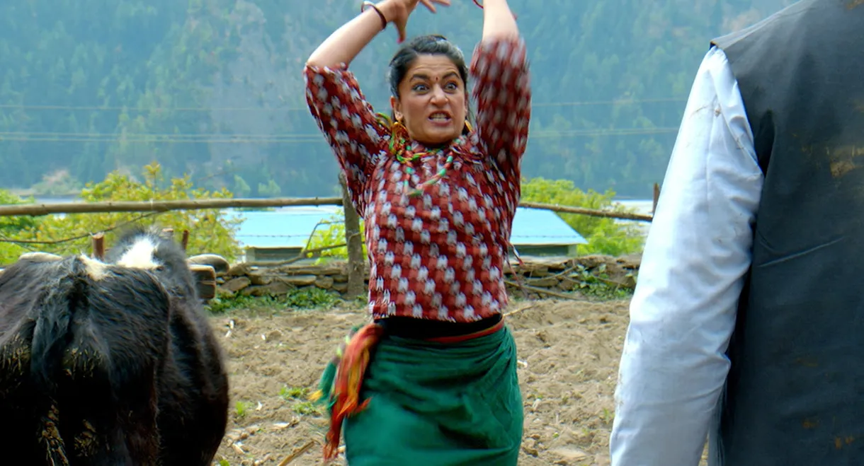 Chameli Ko Poi