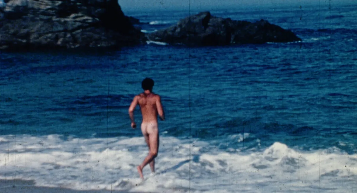 Big Sur Gay Porn