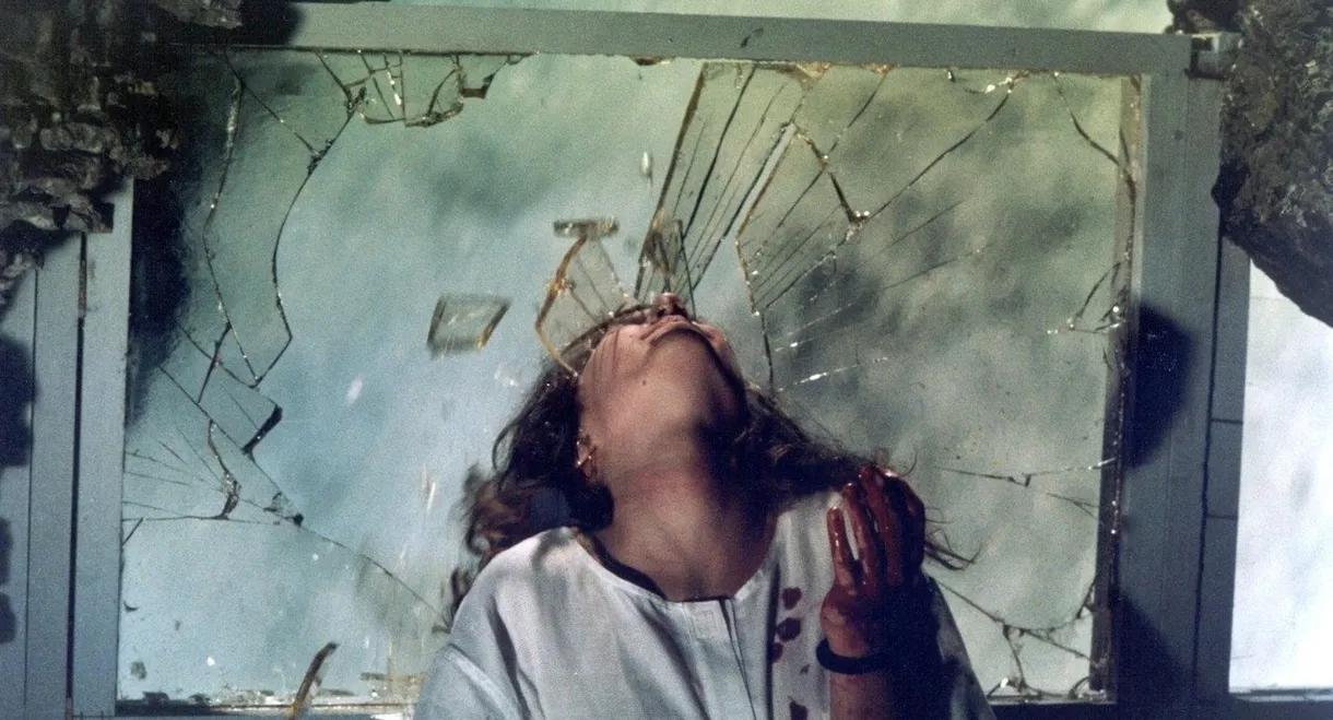 Phenomena