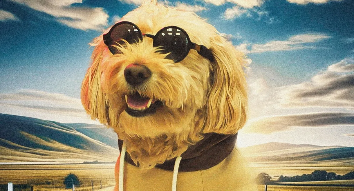 Dog Fugitive