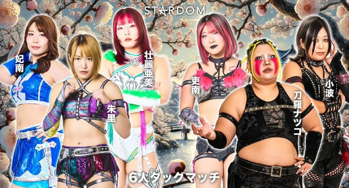Stardom in Okayama 2026 Feb.