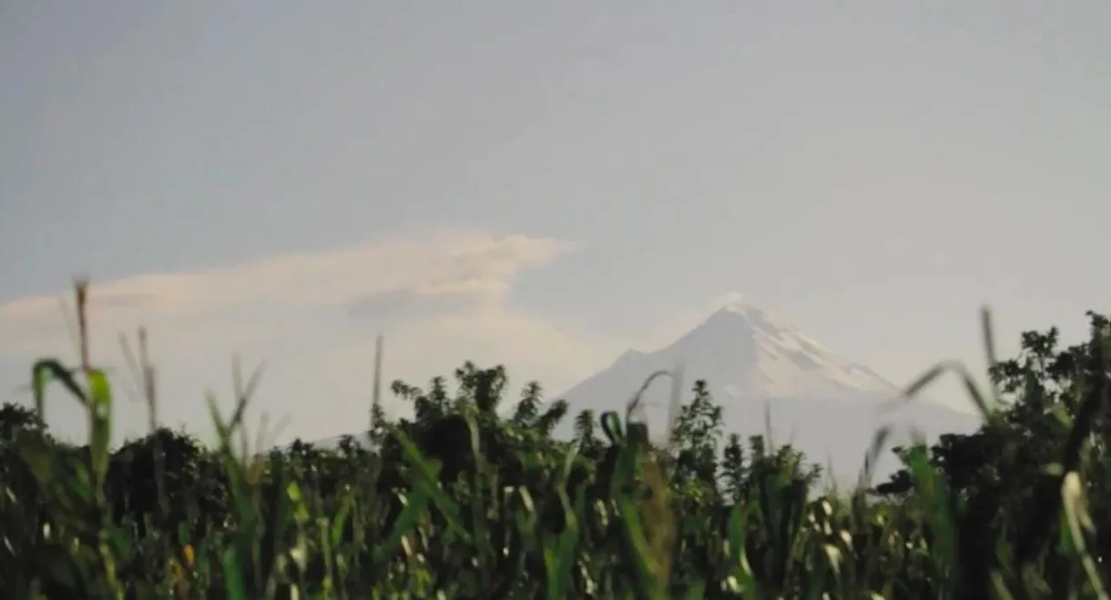 El Niño del Volcán