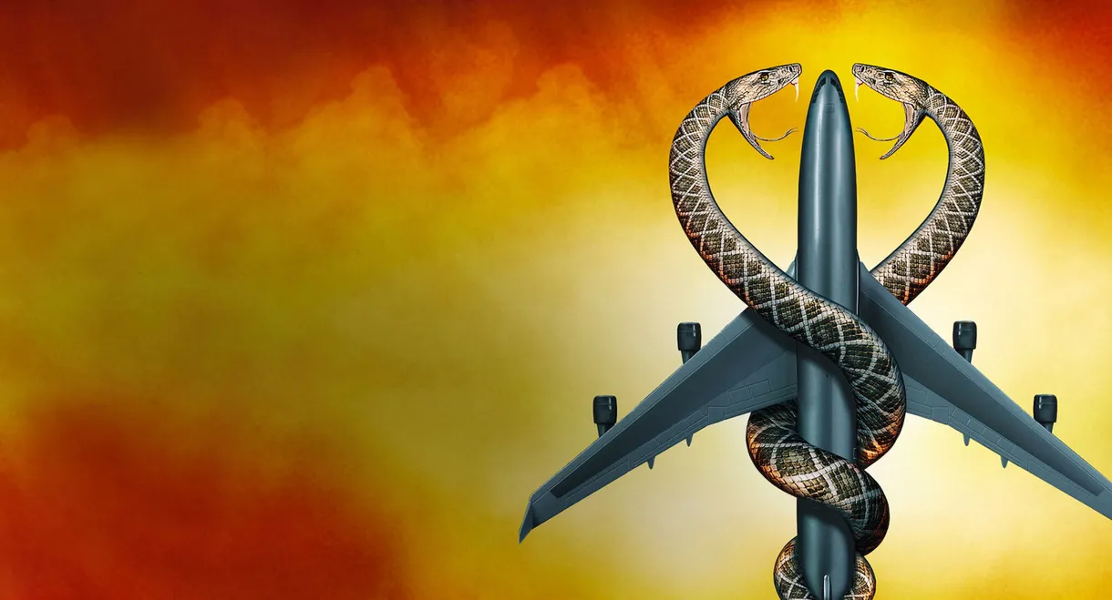 Snakes on a Plane