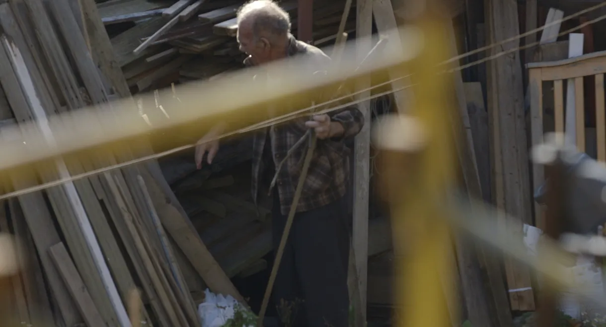 Scaffold
