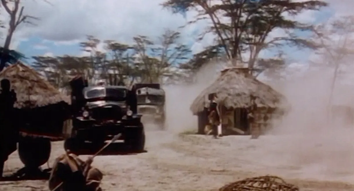 Jungle Safari