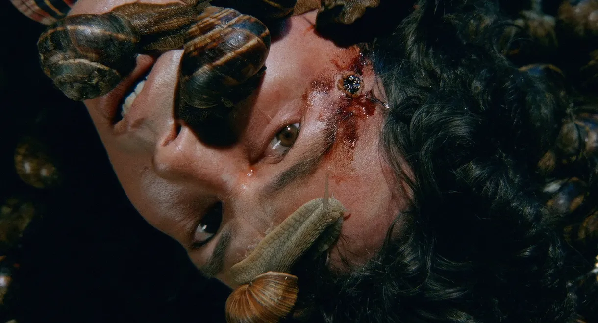 Snails in the Head