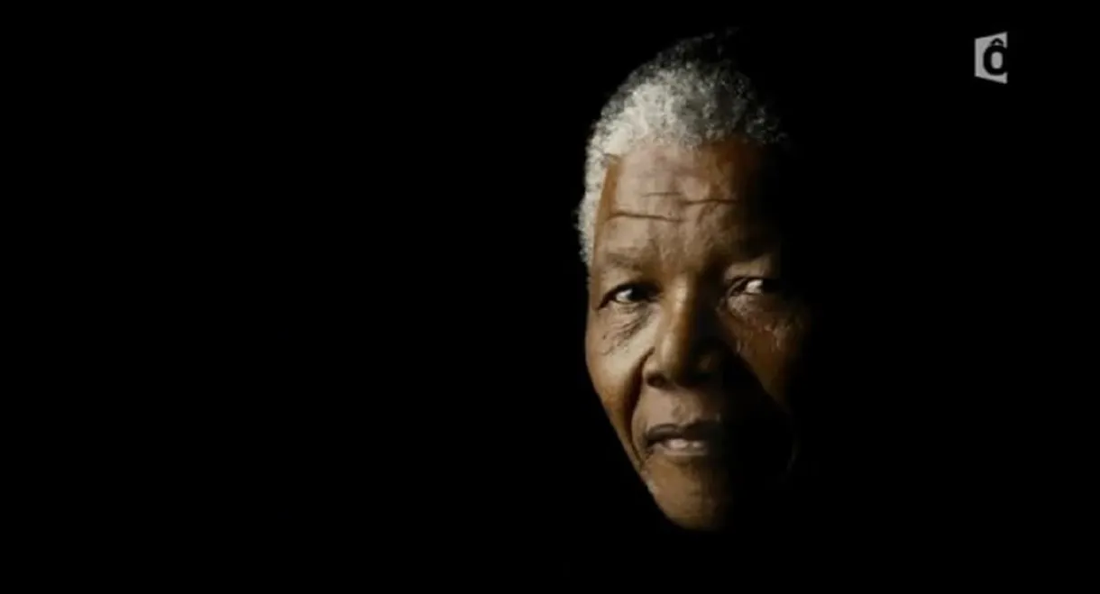 Nelson Mandela, libre à tout prix