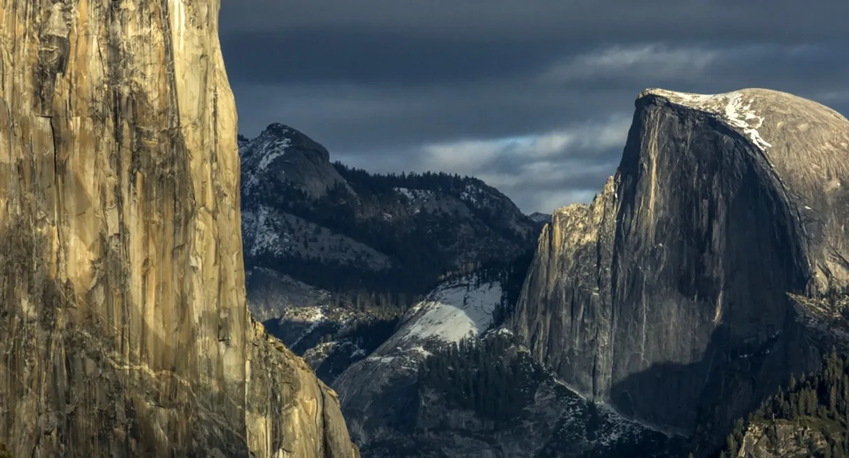 Vertical Frontier