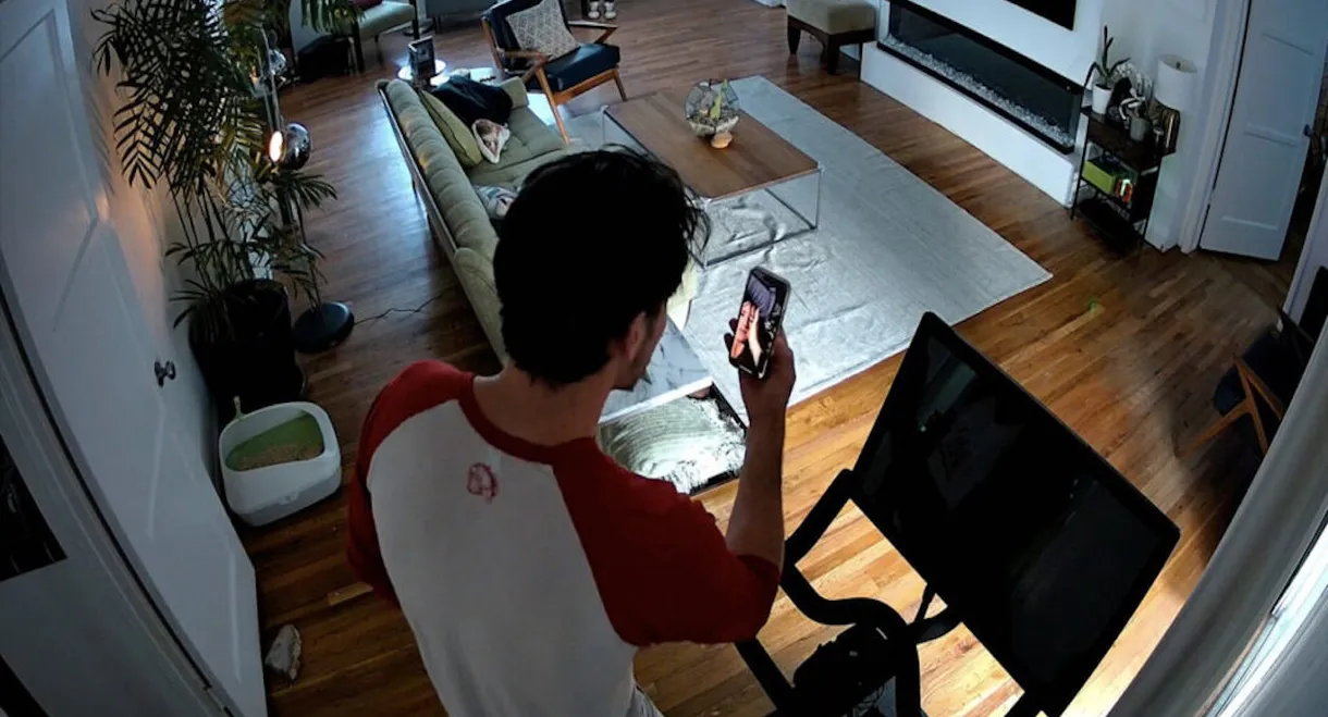 Cat Cam