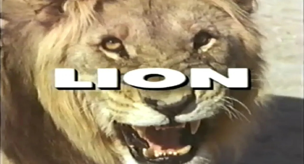 Predators of the Wild: Lion