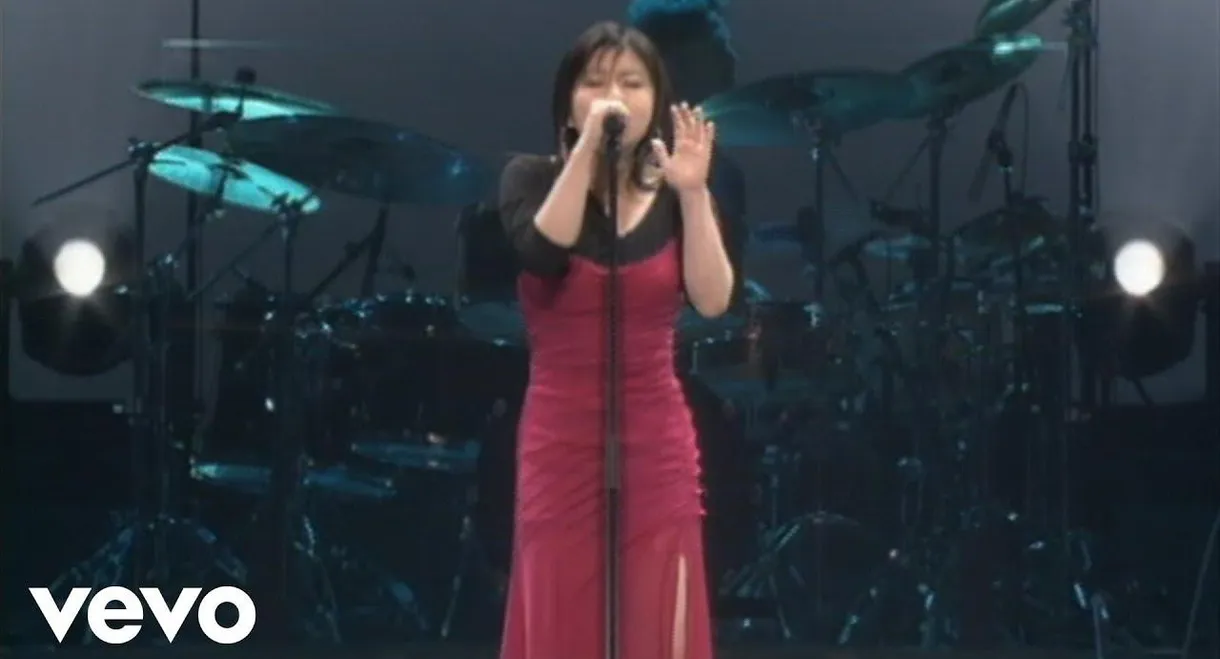 Utada Hikaru in BudoKan 2004 ヒカルの5