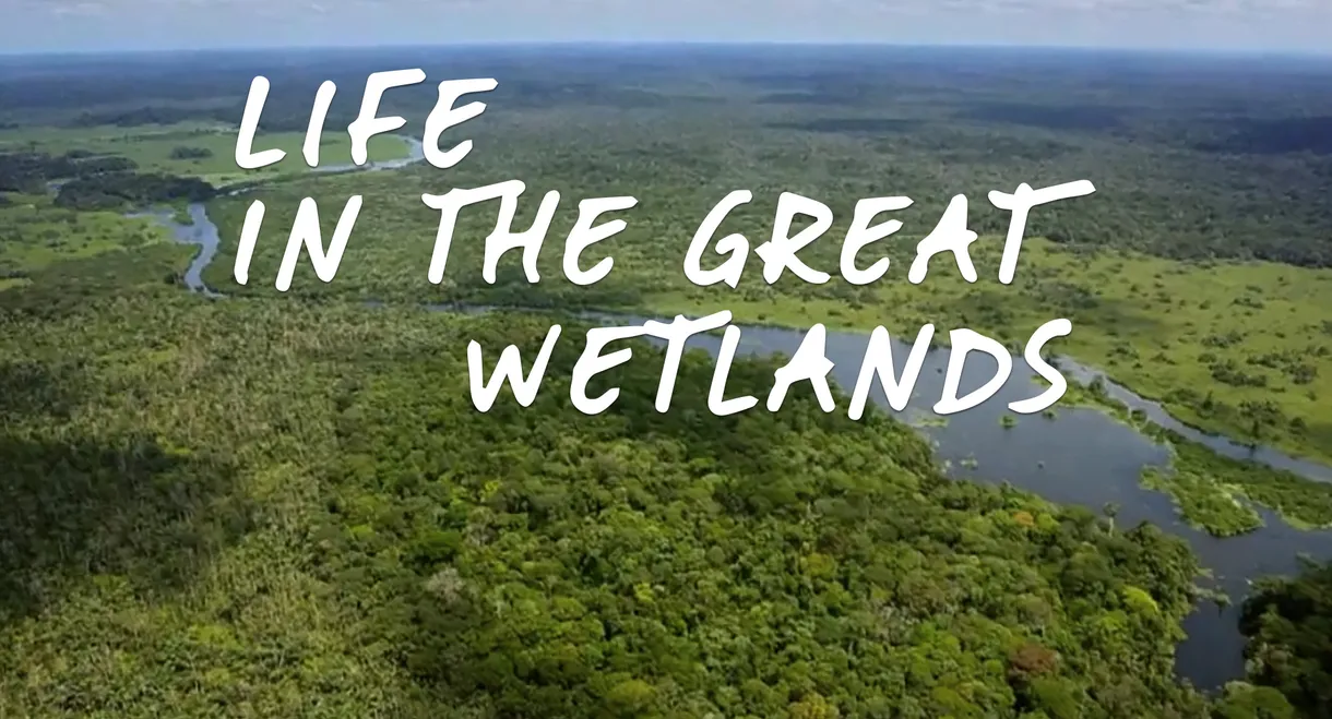 Life in the Great Wetlands