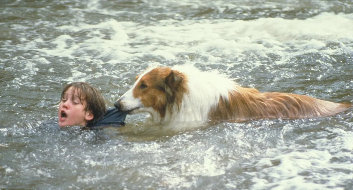 Lassie
