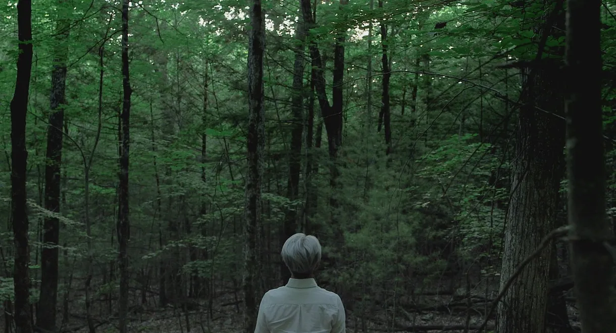Ryuichi Sakamoto: CODA