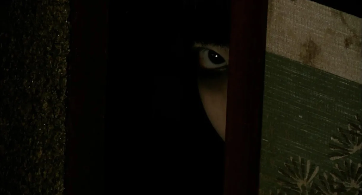 Spirit Behind the Door