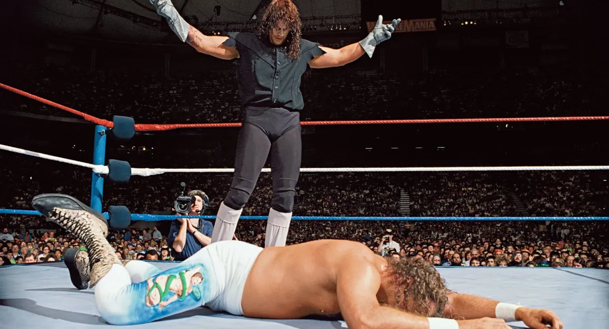 WWE WrestleMania VIII