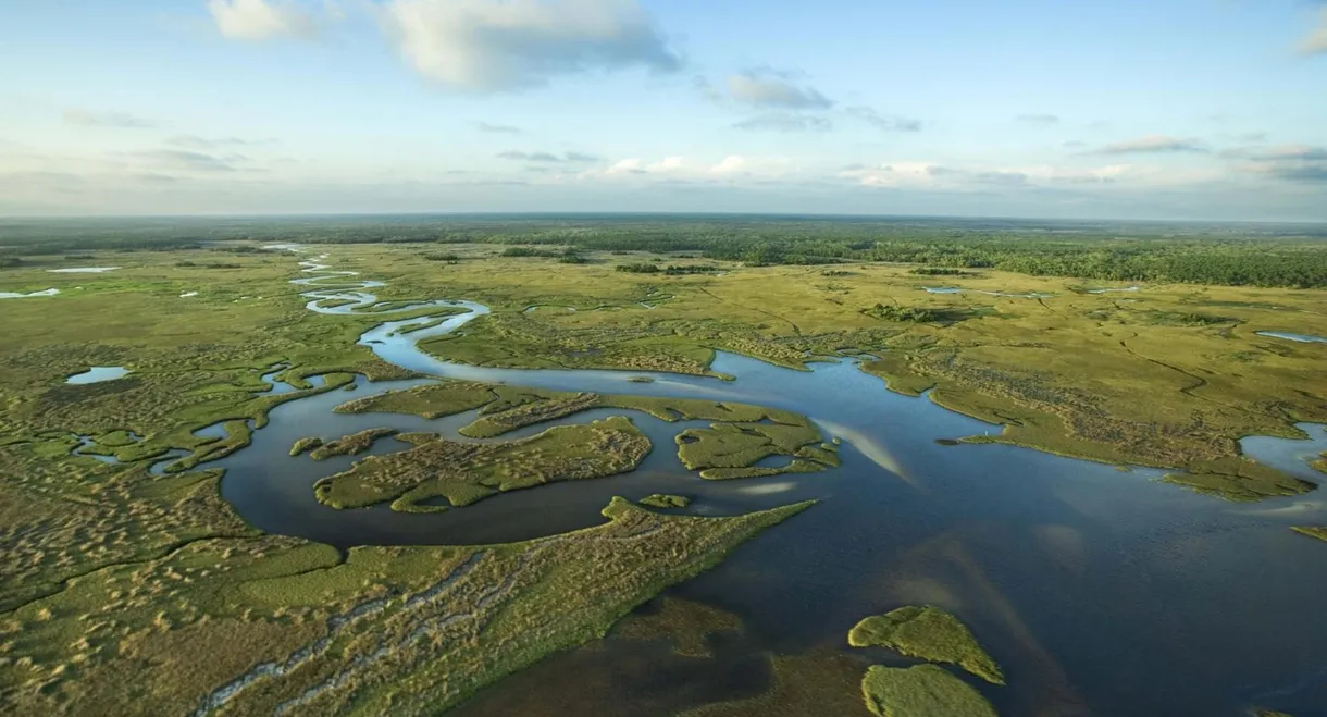 National Parks Exploration Series: The Everglades