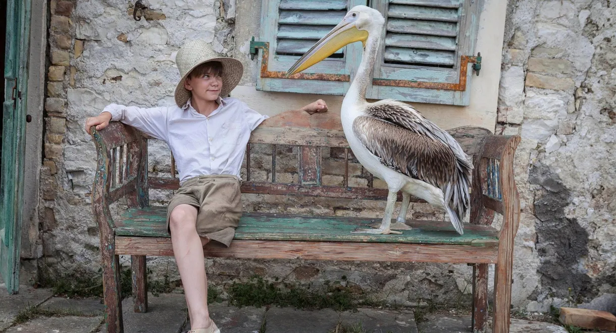 The Durrells