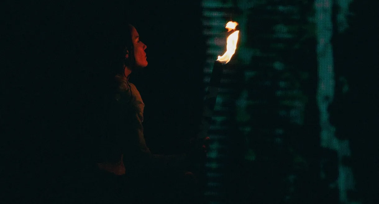 The Girl in the Tower