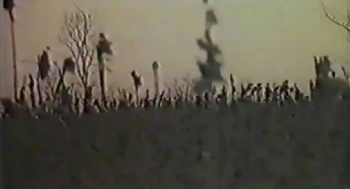 Angel of the Harvest