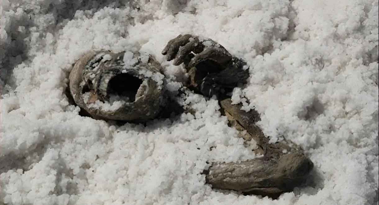 Under the Salt