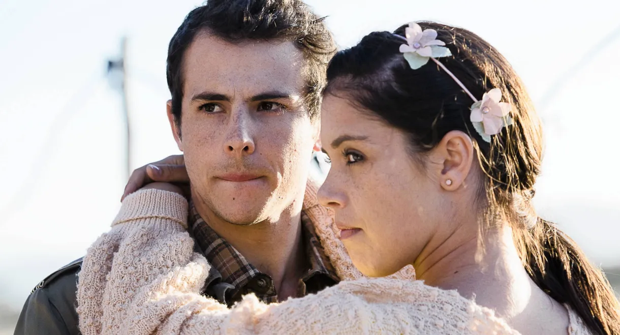 Hollywood in my House