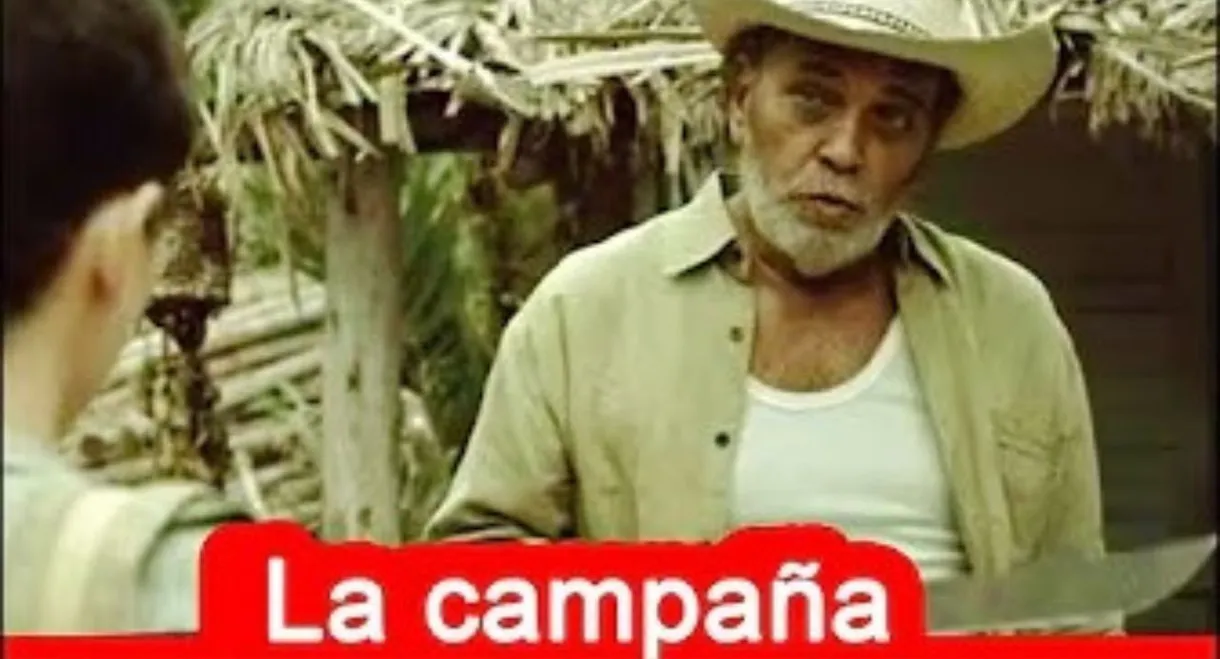 The Campaign