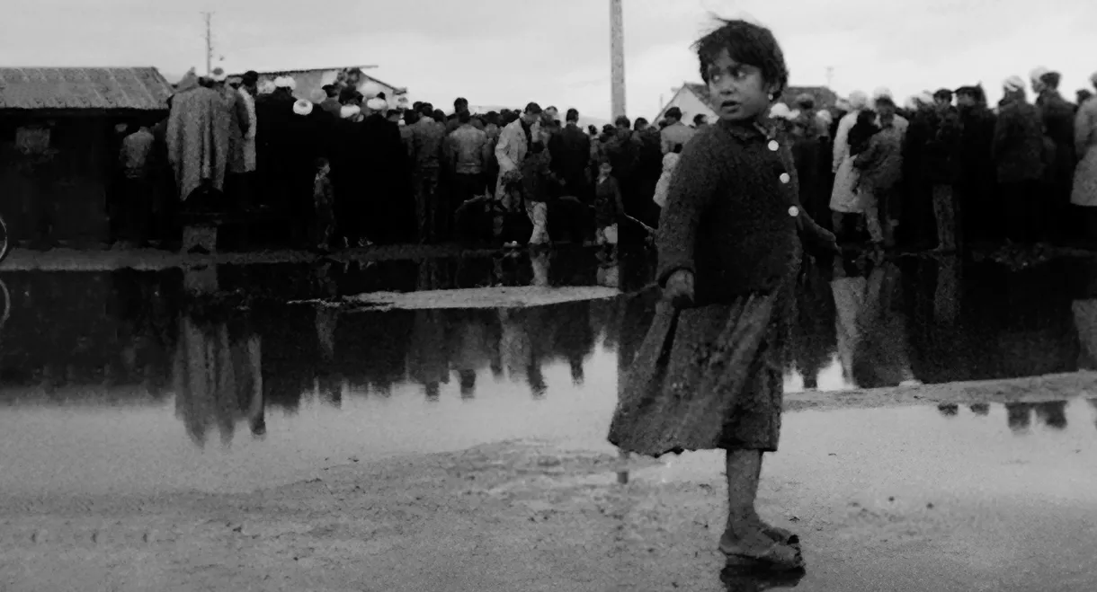 Algeria, Year Zero