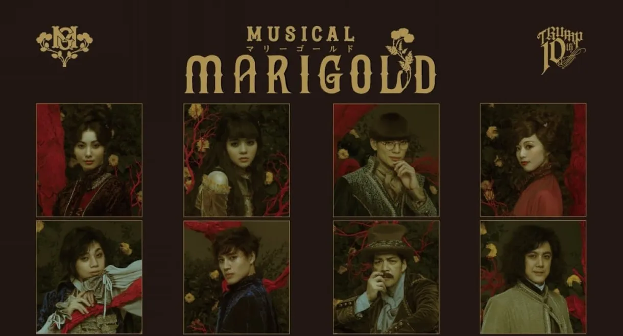 Musical - MARIGOLD-