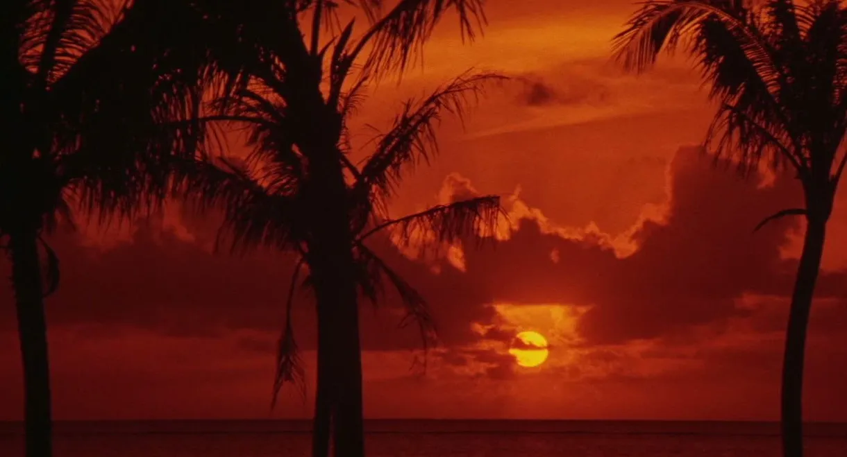 Japanese Godfather: Conclusion