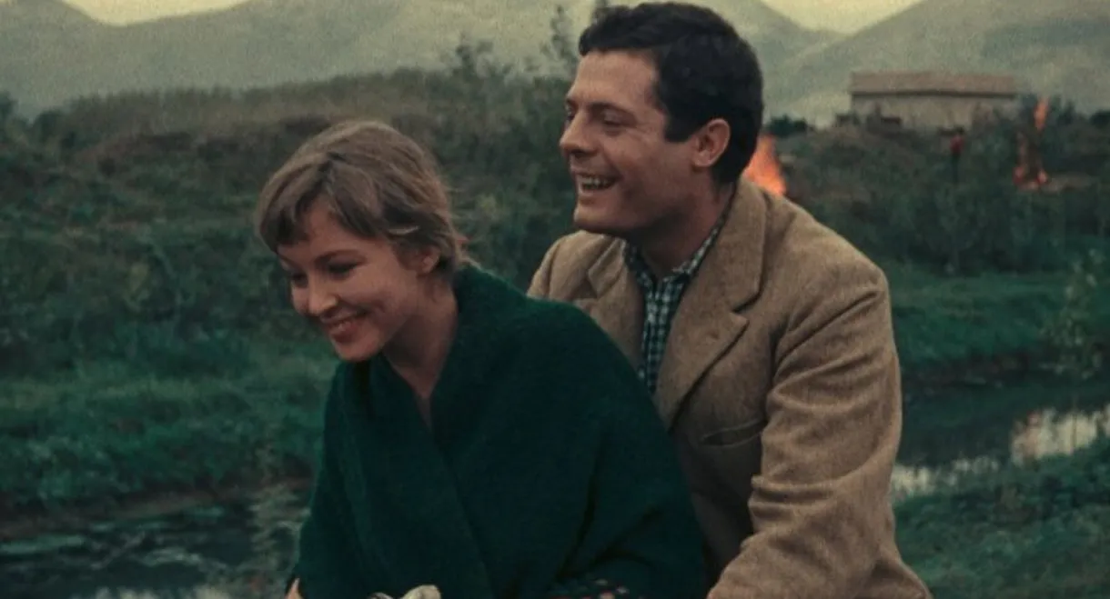 Days of Love