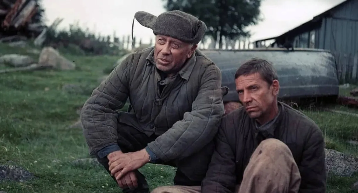 The Cold Summer of 1953