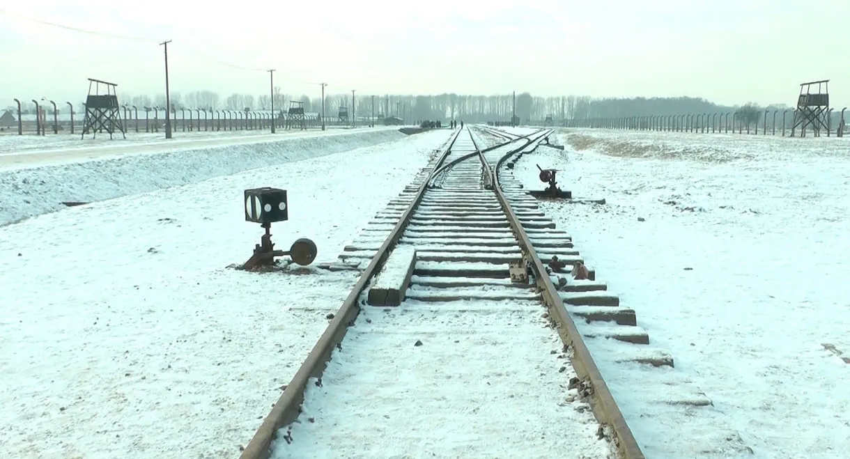 19 876 Steps in Auschwitz / Birkenau