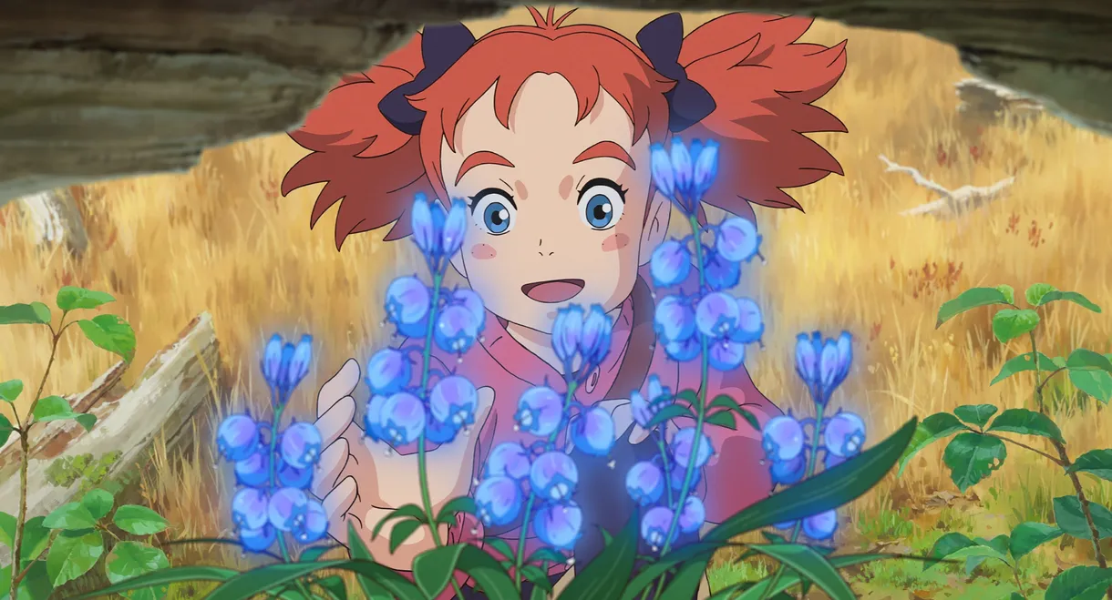 Mary and The Witch's Flower