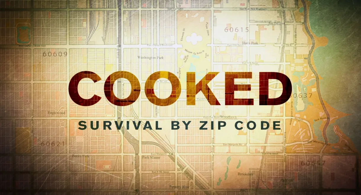 Cooked: Survival by Zip Code