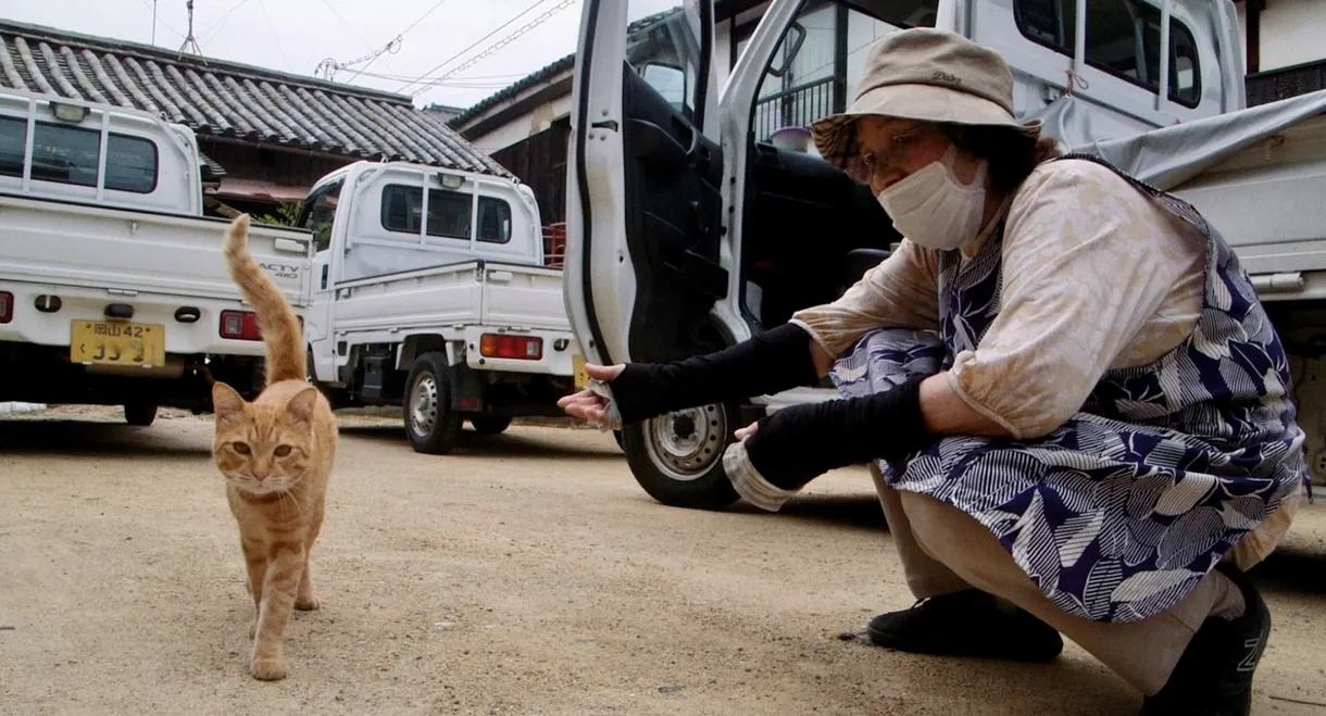 The Cats of Gokogu Shrine