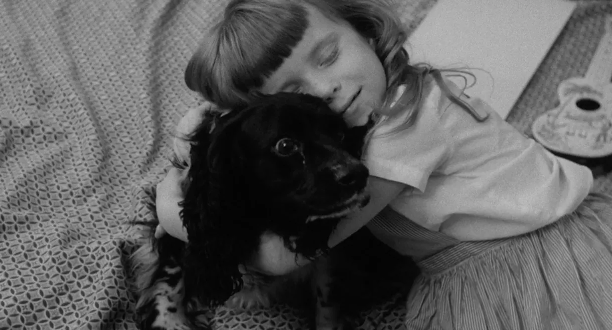 The Dog Lover