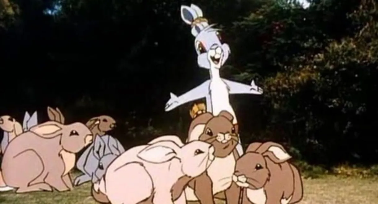 Dot and the Bunny