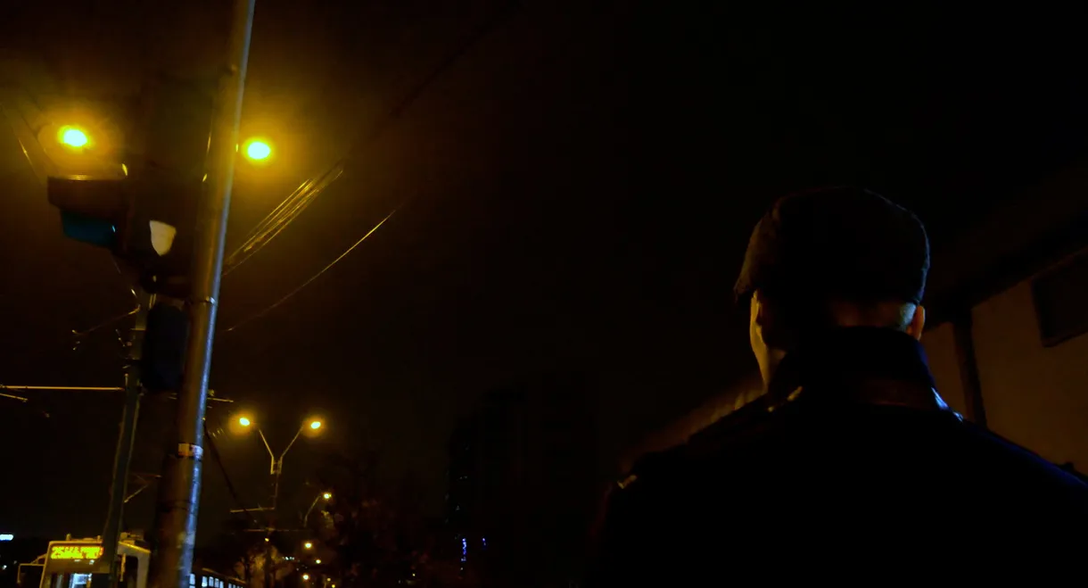 The Night Walk