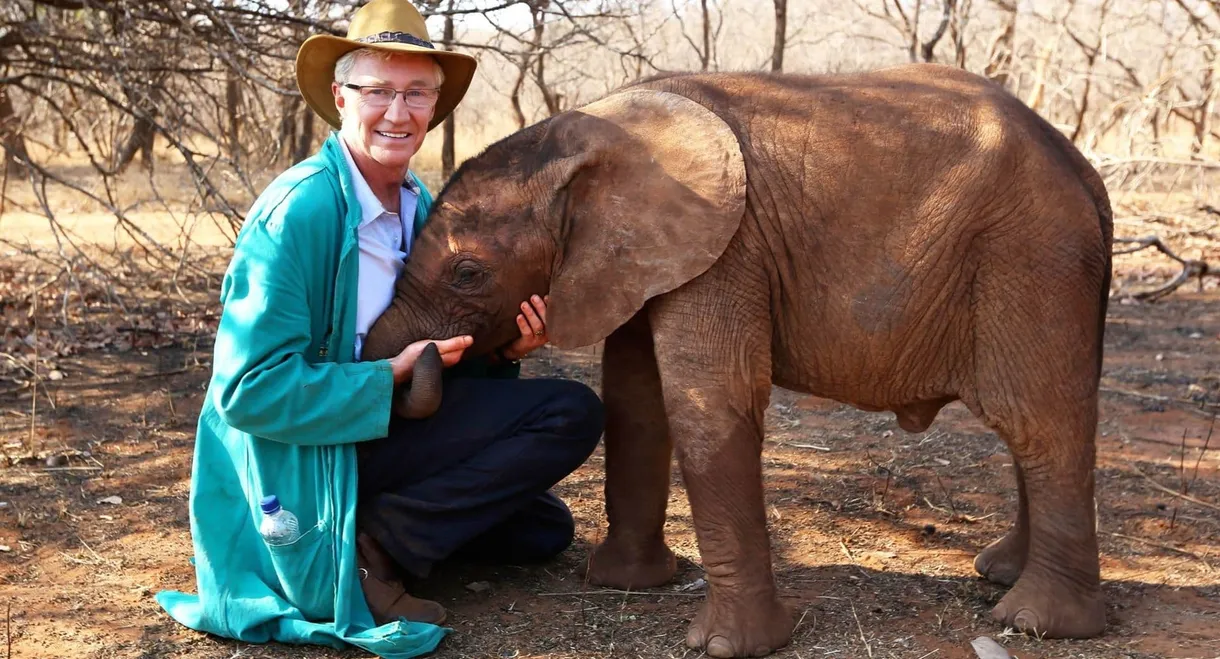 Paul O'Grady's Animal Orphans