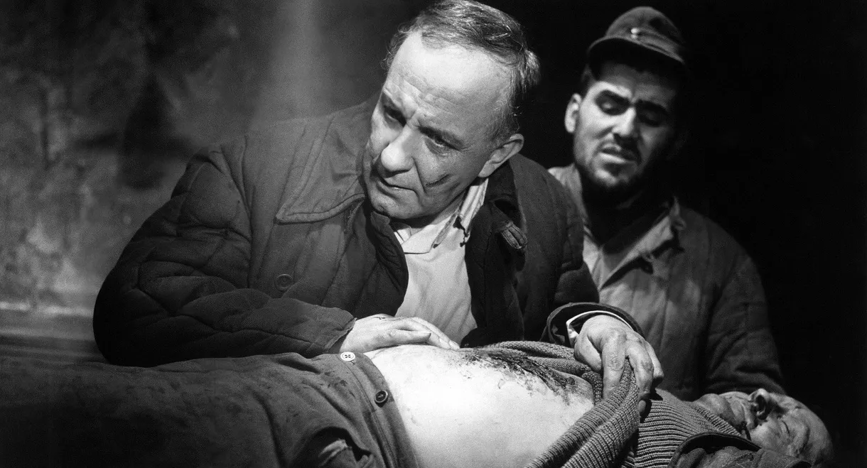 The Doctor of Stalingrad